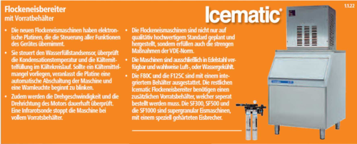 F 120 C und F 120 CW Flockeneisbereiter-F120CM--icematic